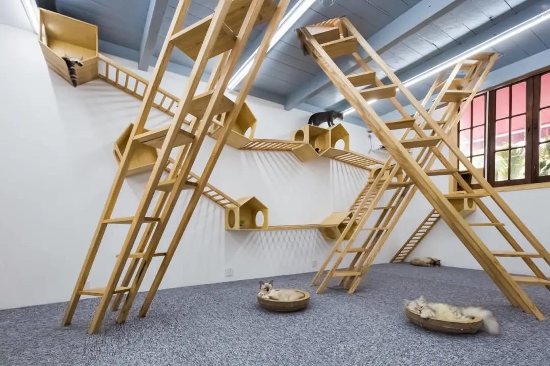 1596595749591148.jpg 14.jpg